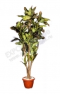 Растение - Листья дуба 110 см